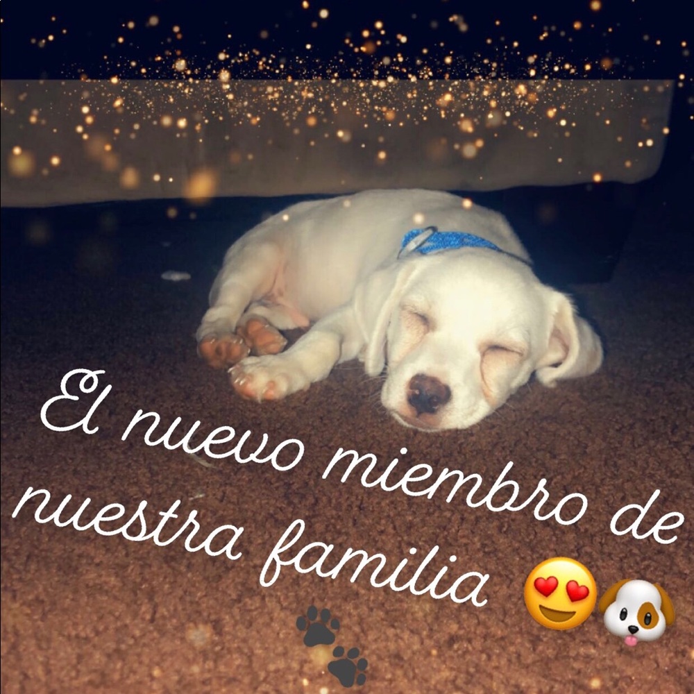 Meet your Posher, Nubia